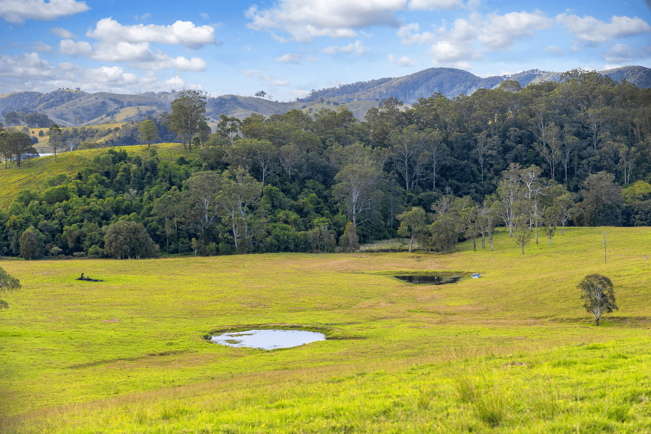 159 Yates Road, BUCCA WAUKA, NSW 2429