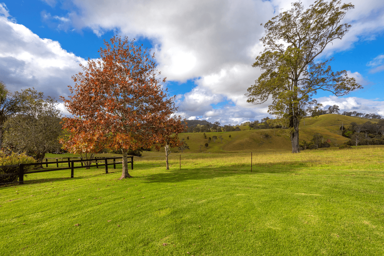 159 Yates Road, BUCCA WAUKA, NSW 2429