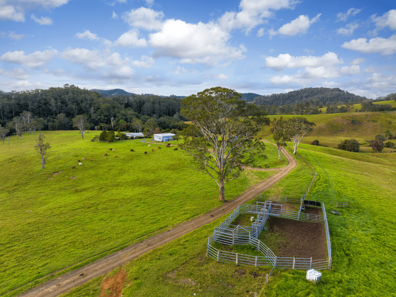 159 Yates Road, BUCCA WAUKA, NSW 2429