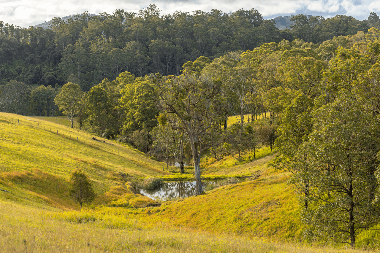 159 Yates Road, BUCCA WAUKA, NSW 2429