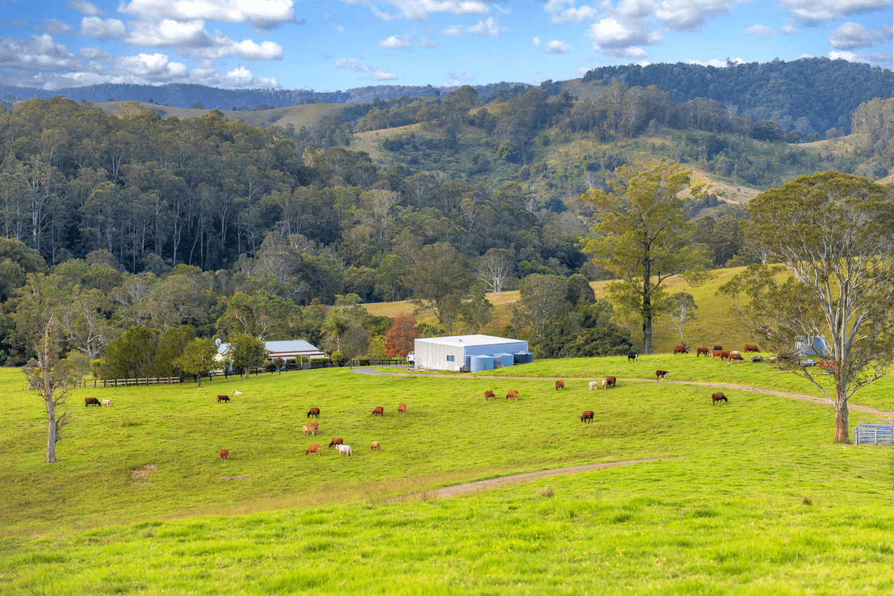 159 Yates Road, BUCCA WAUKA, NSW 2429