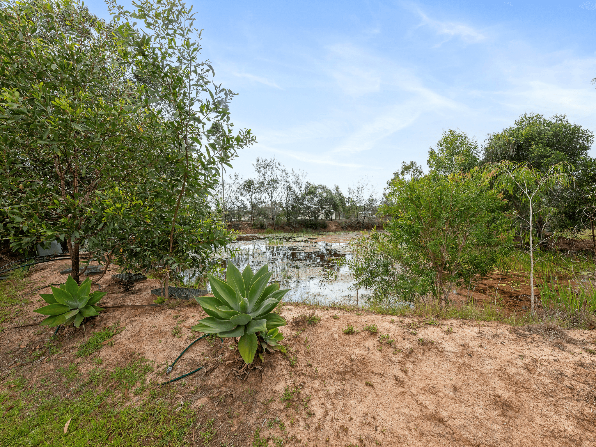12 Marina Drive, PACIFIC HAVEN, QLD 4659