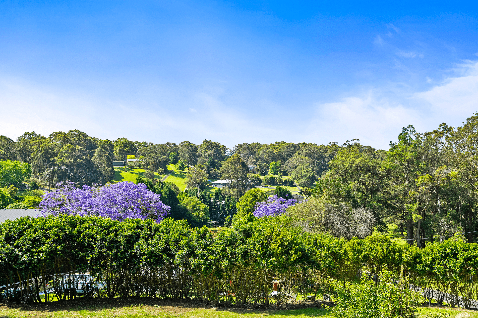 11 Leetes Lane, Tumbi Umbi, NSW 2261