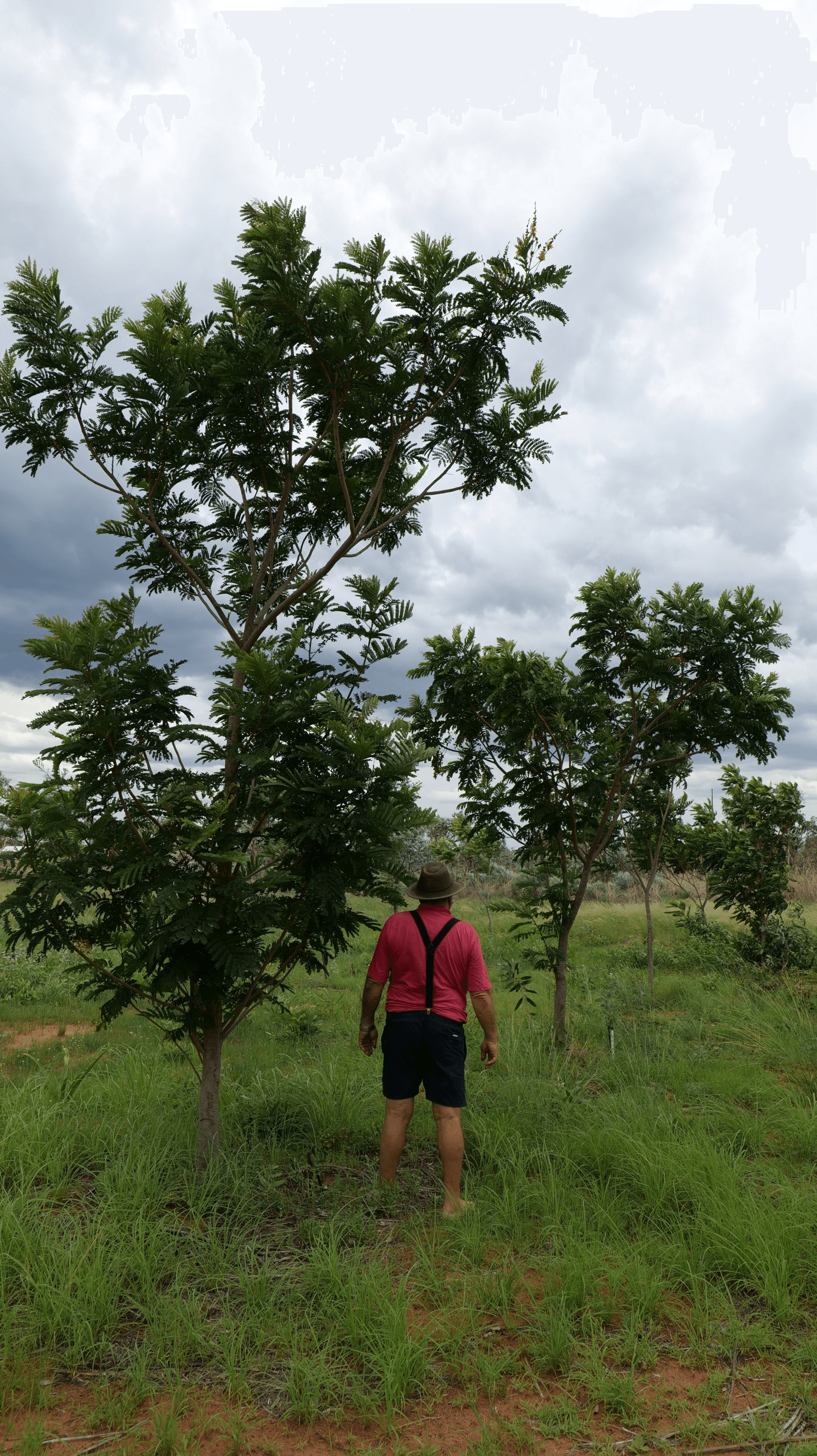 Lot 33 Egret Close, KUNUNURRA, WA 6743