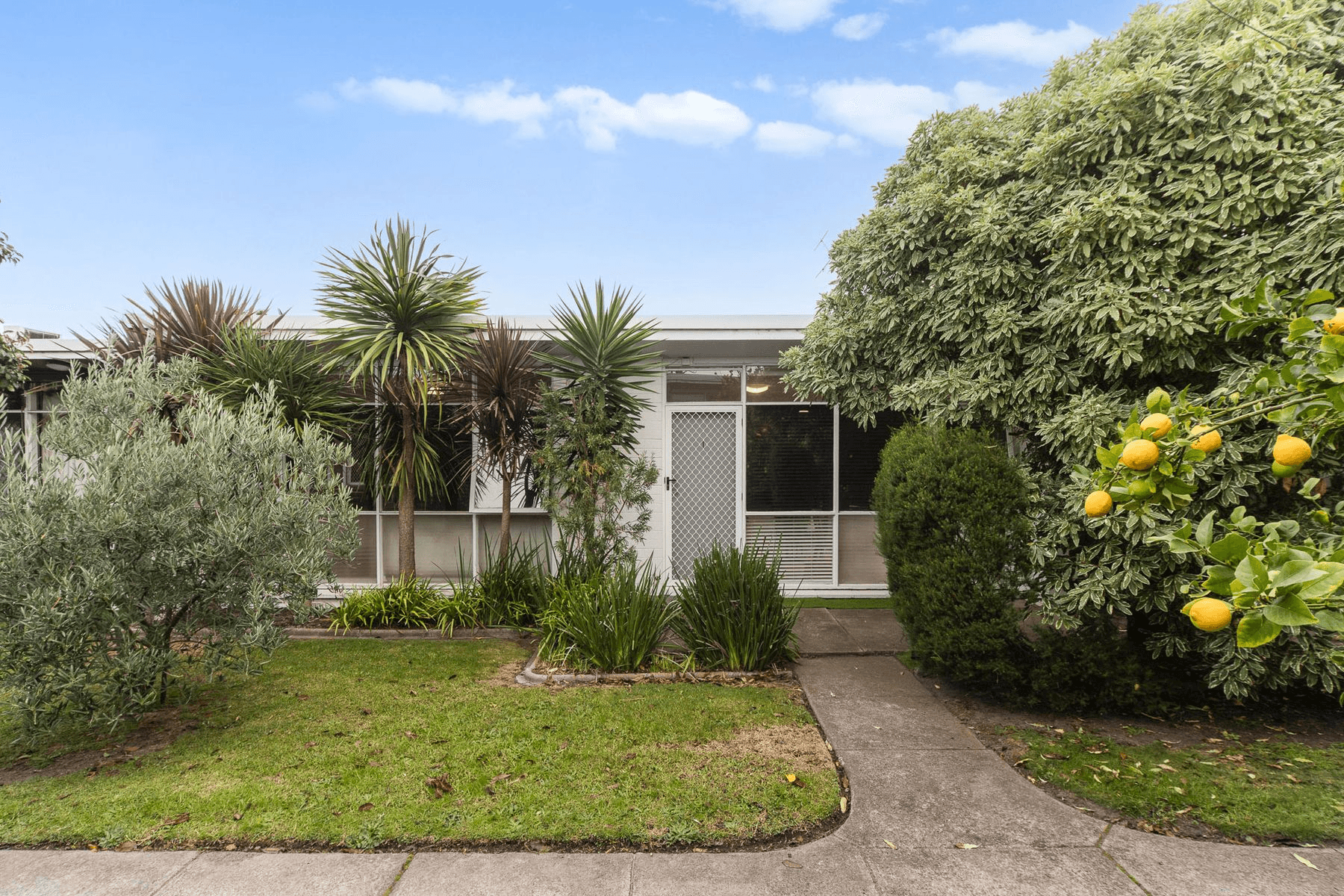 1/6 Tasma Lane, Mornington, VIC 3931