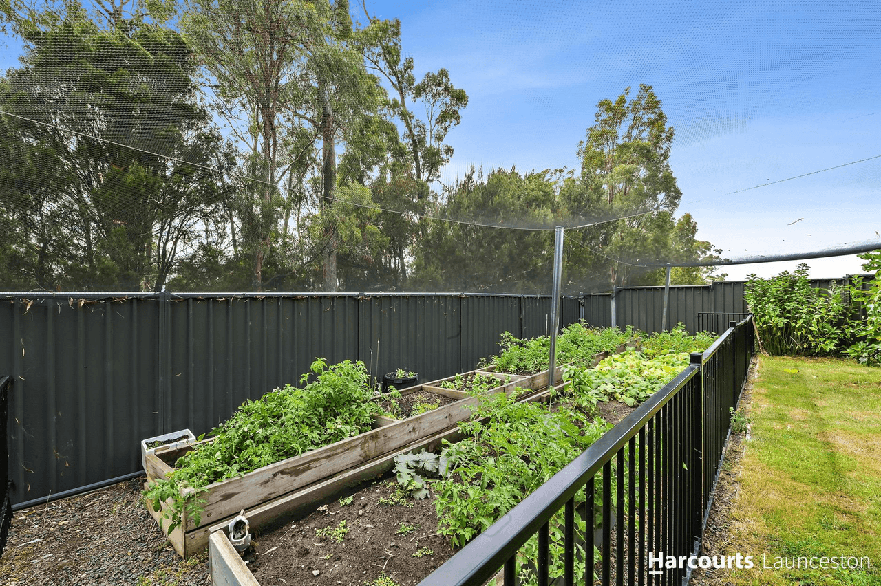 44 Bradford Avenue, PROSPECT VALE, TAS 7250