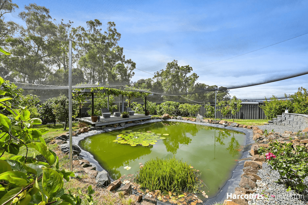 44 Bradford Avenue, PROSPECT VALE, TAS 7250