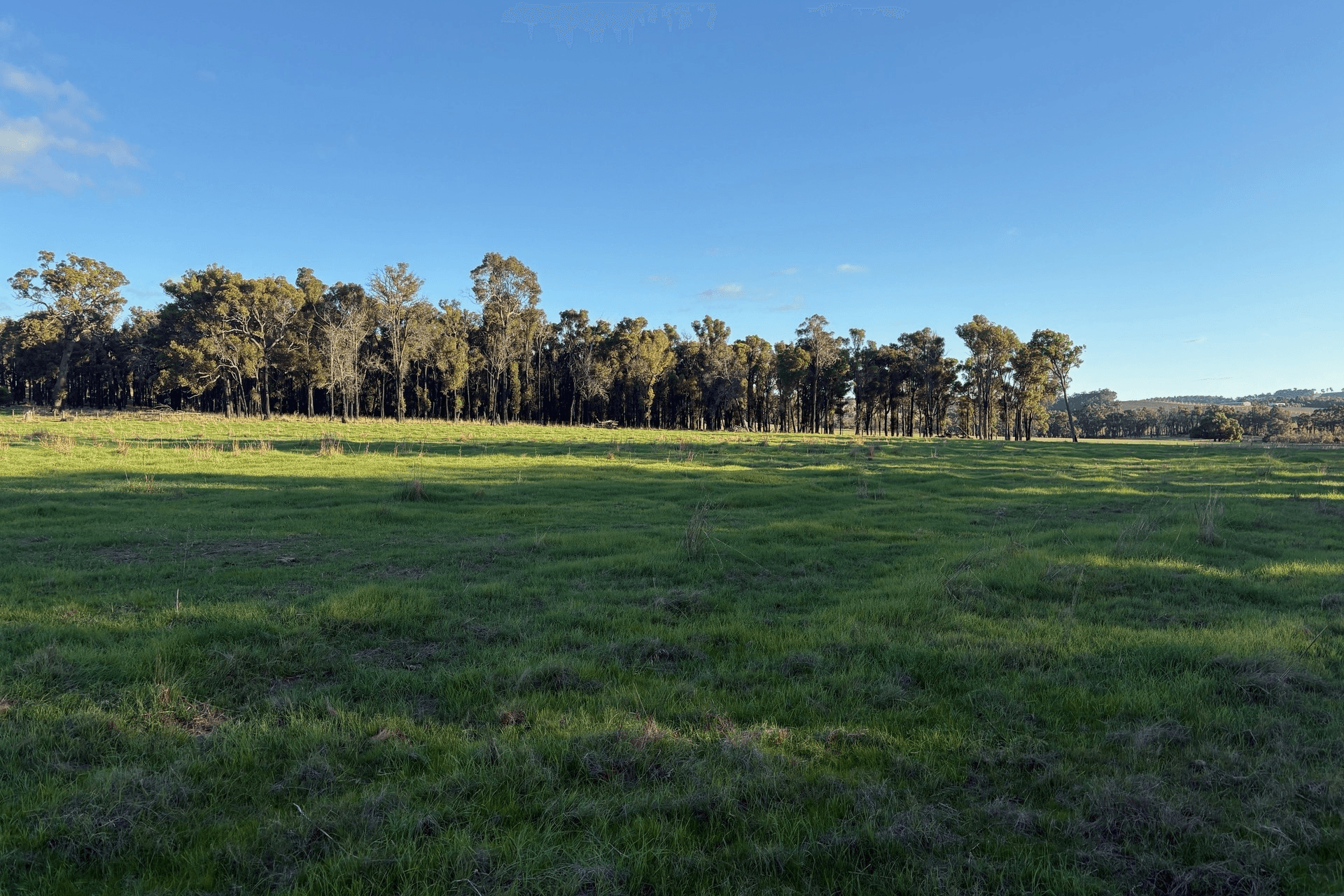 Lot 245 & Donnybrook-Boyup Brook Road, Glen Mervyn, WA 6239
