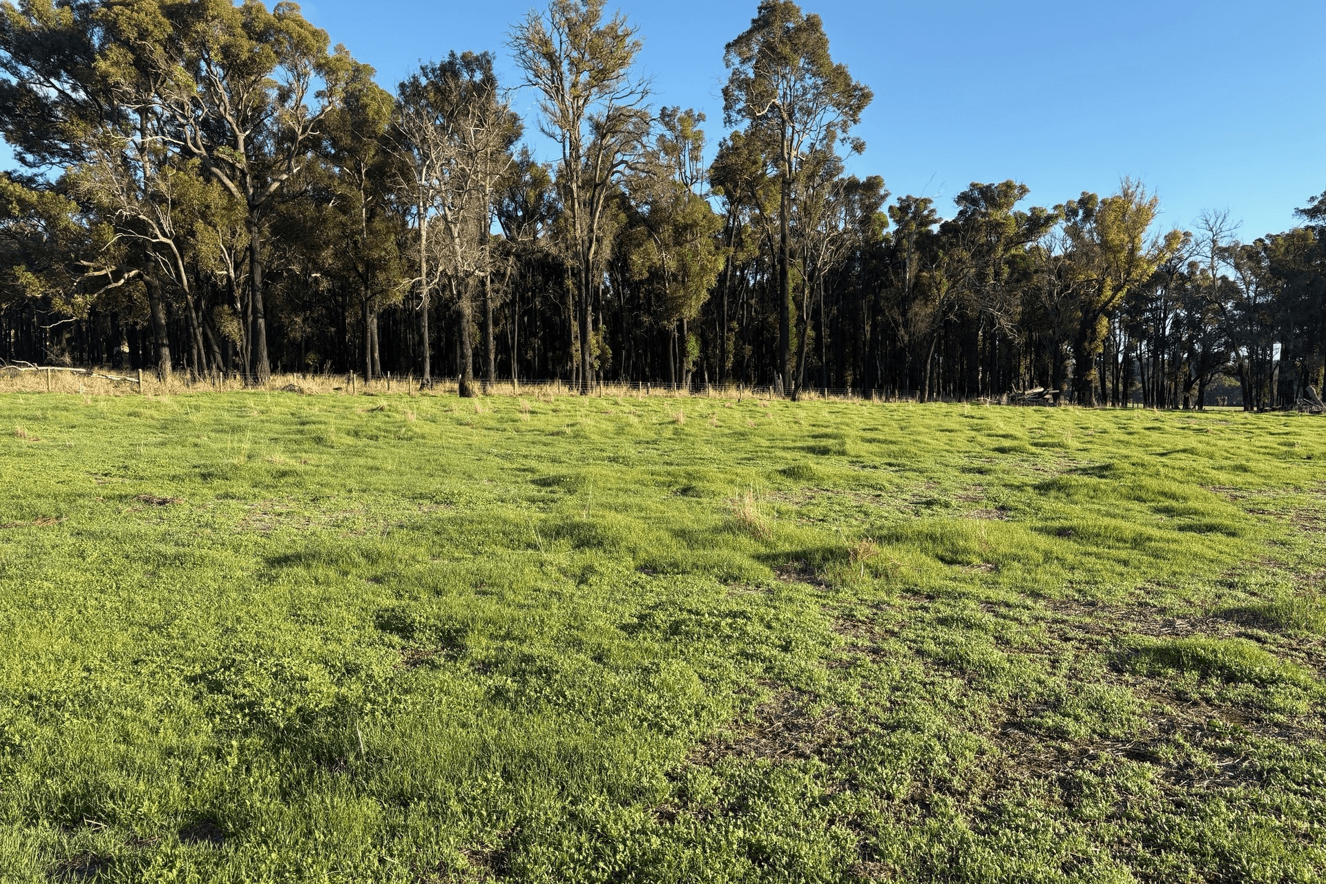 Lot 245 & Donnybrook-Boyup Brook Road, Glen Mervyn, WA 6239