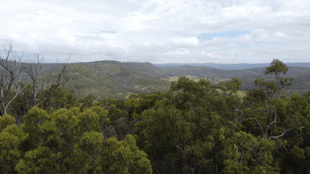 3239 Armidale Road, Blaxlands Creek, NSW 2460