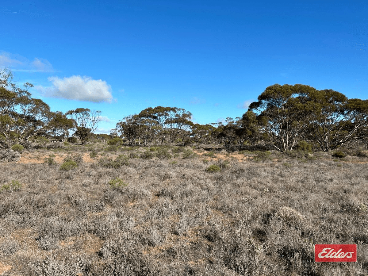 Sec 166 Thiele Highway, Bower, SA 5374