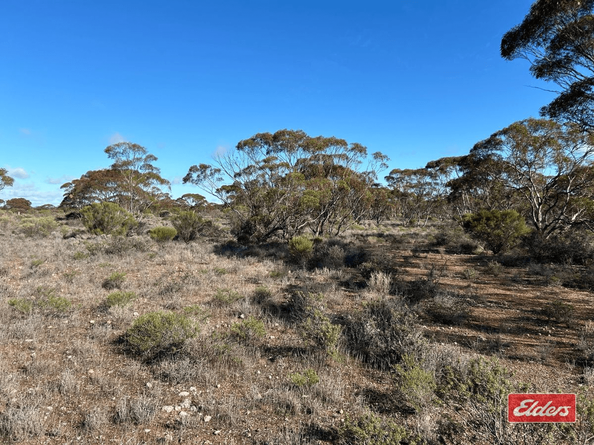 Sec 166 Thiele Highway, Bower, SA 5374