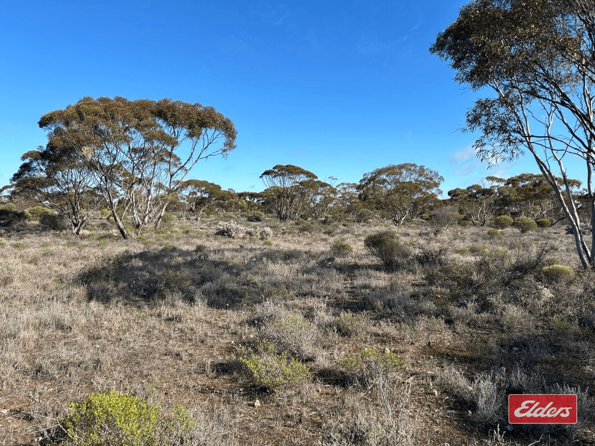 Sec 166 Thiele Highway, Bower, SA 5374