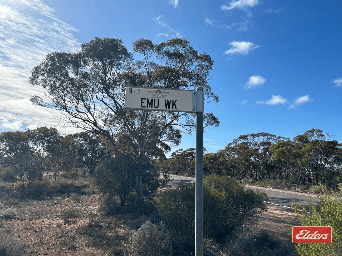 Sec 166 Thiele Highway, Bower, SA 5374