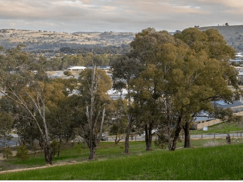 11 Gaff Court, WODONGA, VIC 3690