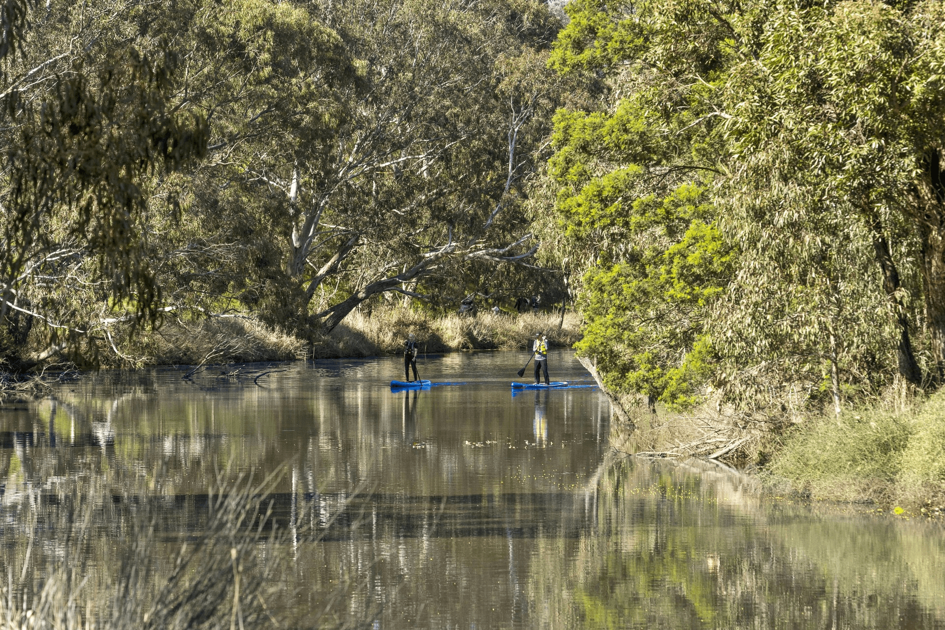 65 Dell Boulevard, Fyansford, VIC 3218