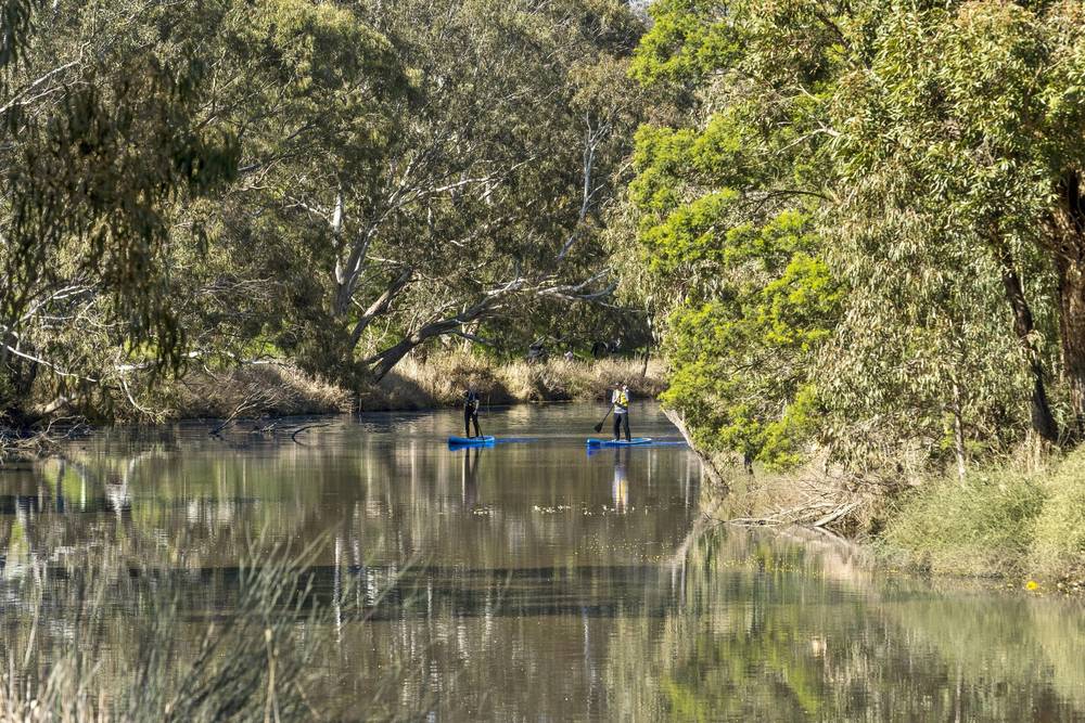 65  Dell Boulevard, Fyansford, VIC 3218