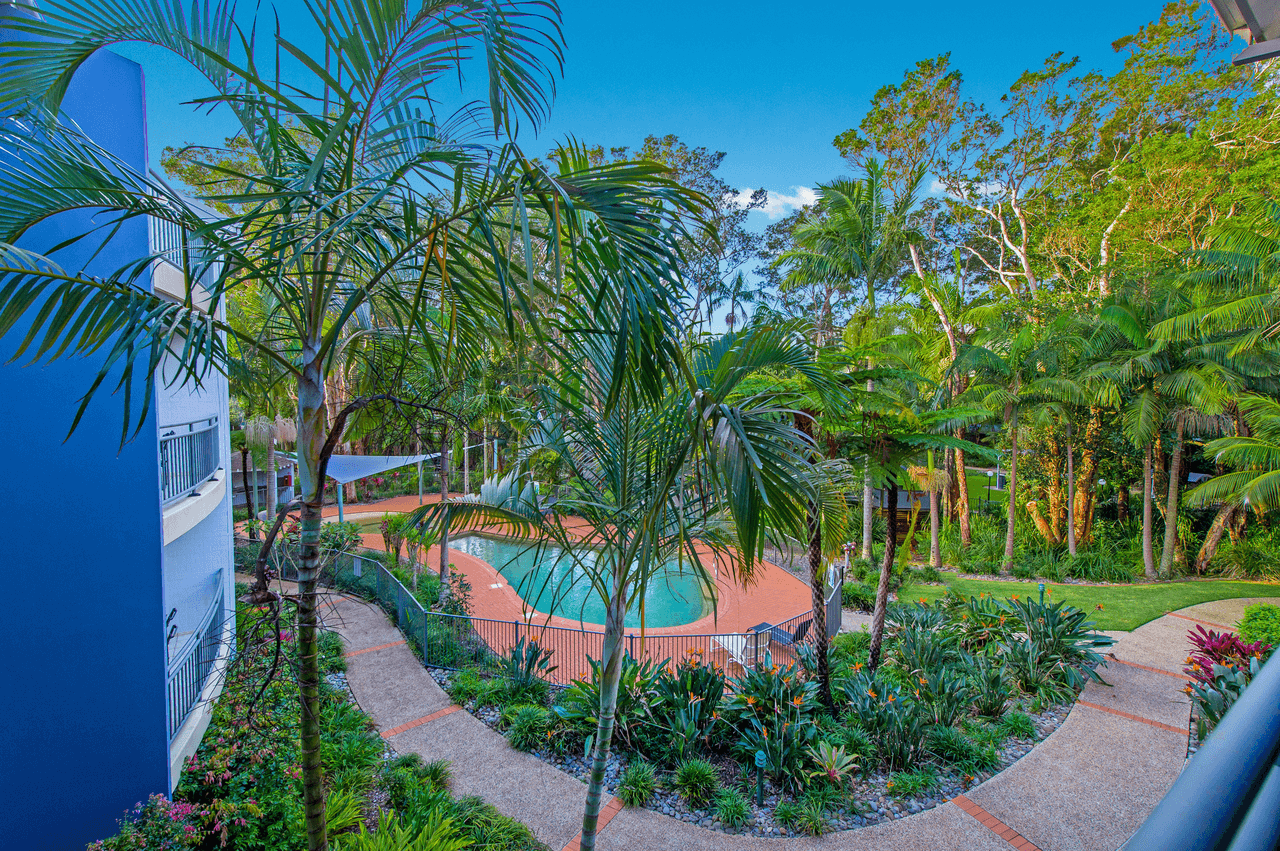 109/68 Pacific Drive, PORT MACQUARIE, NSW 2444