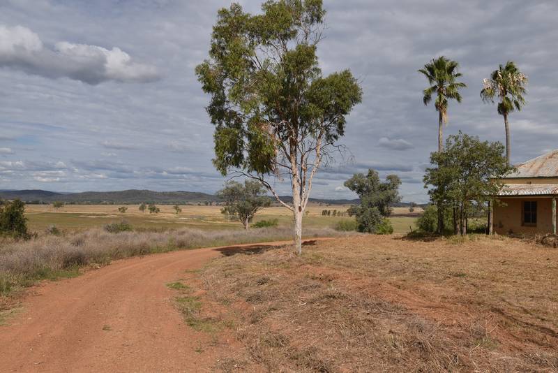 233 Bestwicks Lane Suntop via, WELLINGTON, NSW 2820