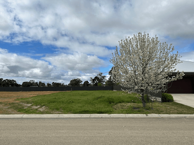 24 Armstrong Drive, BARHAM, NSW 2732