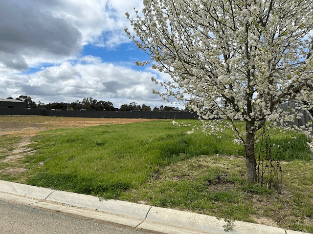 24 Armstrong Drive, BARHAM, NSW 2732