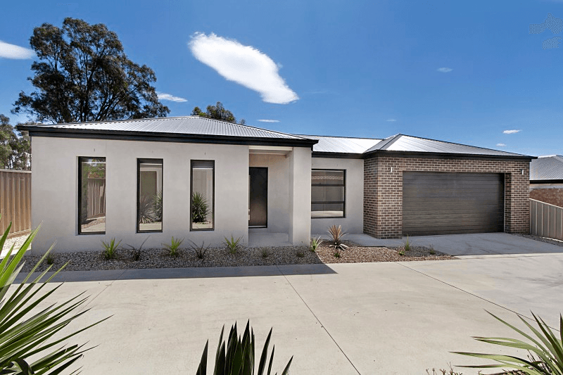 18a Heinz Street, WHITE HILLS, VIC 3550