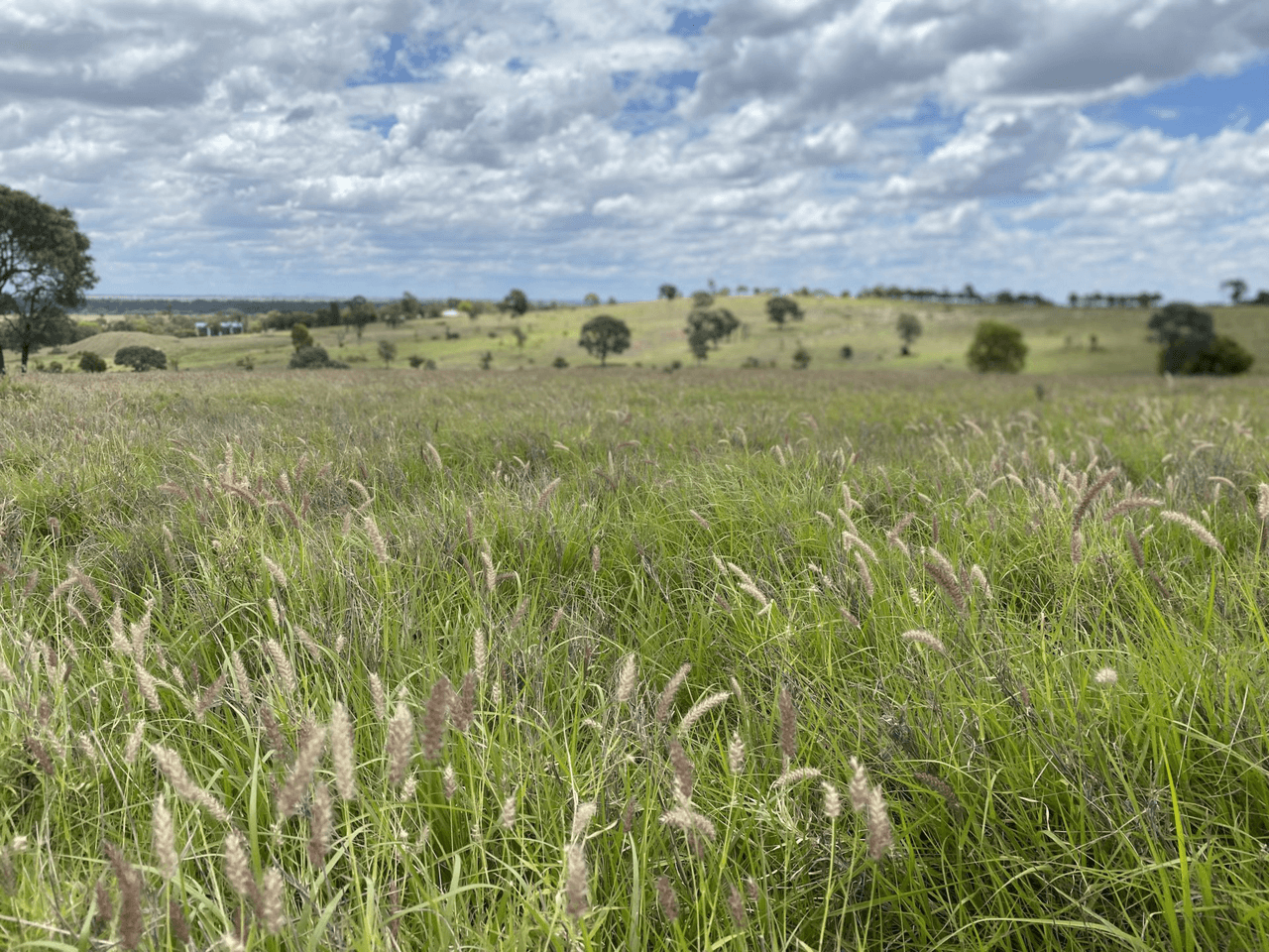 Lot 900 Wormwell Drive, ROMA, QLD 4455