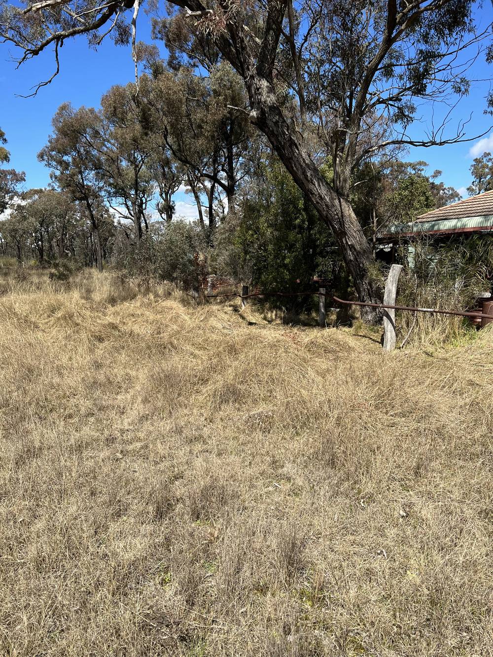 208 Springwood Park Road, GULGONG, NSW 2852
