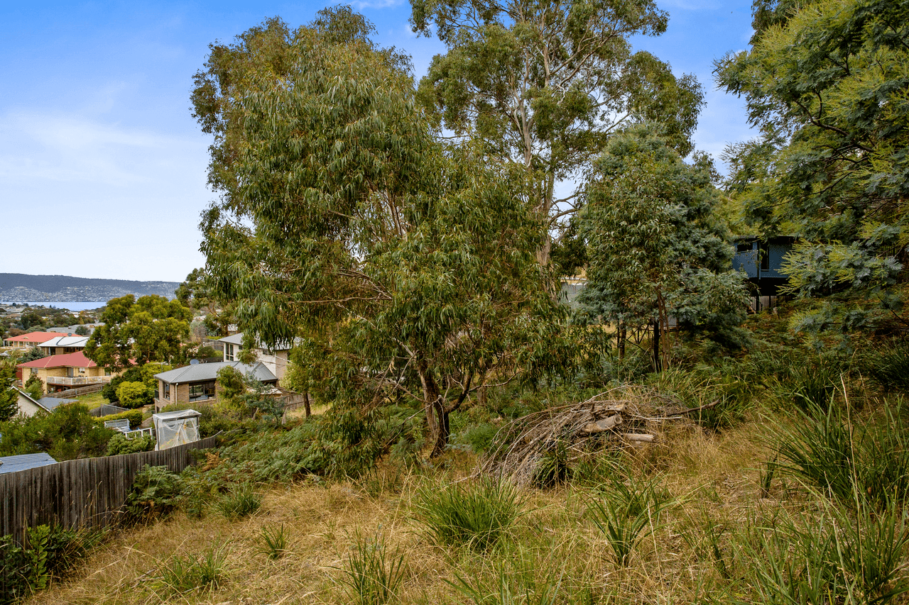 24 Wassell Place, LINDISFARNE, TAS 7015