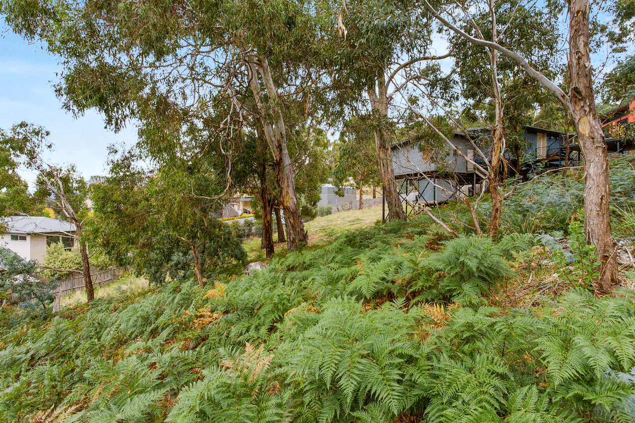 24 Wassell Place, LINDISFARNE, TAS 7015