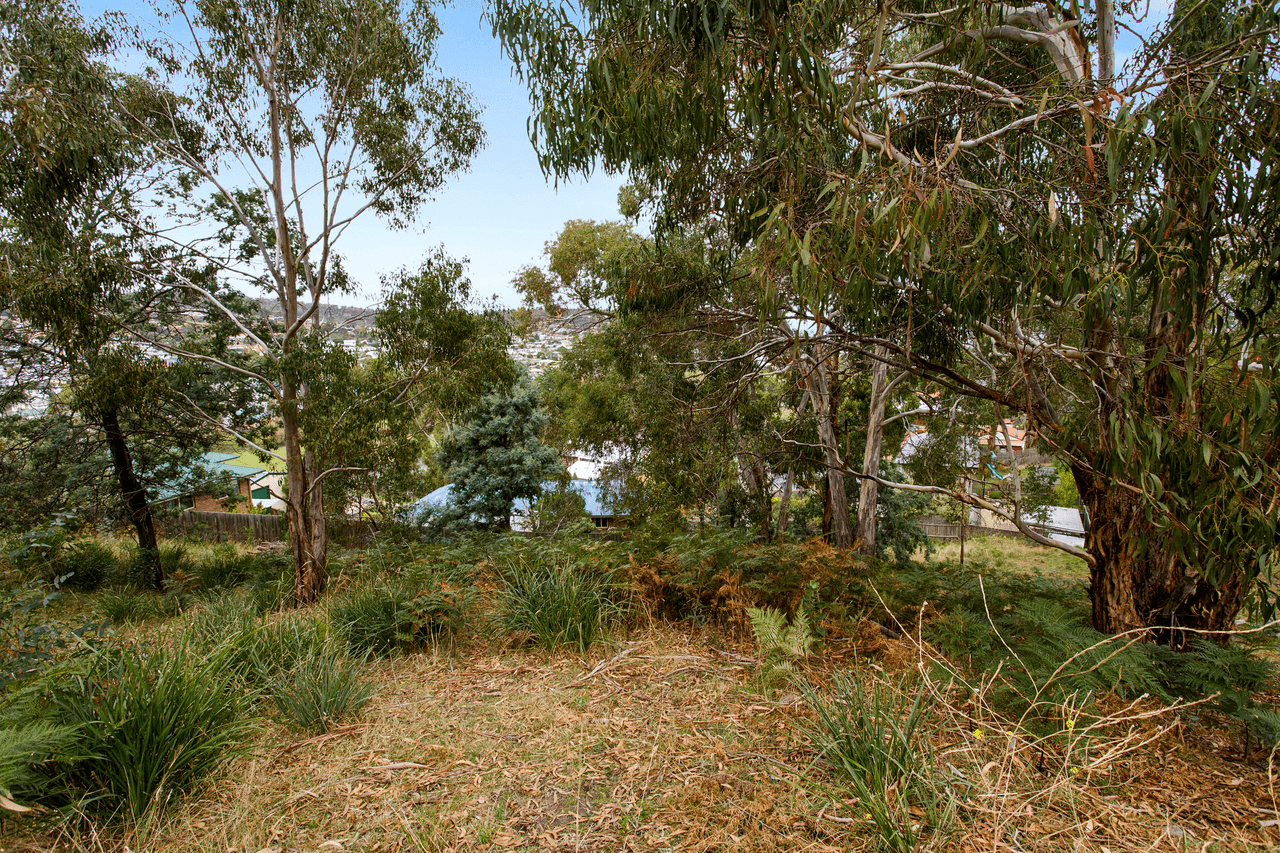 24 Wassell Place, LINDISFARNE, TAS 7015