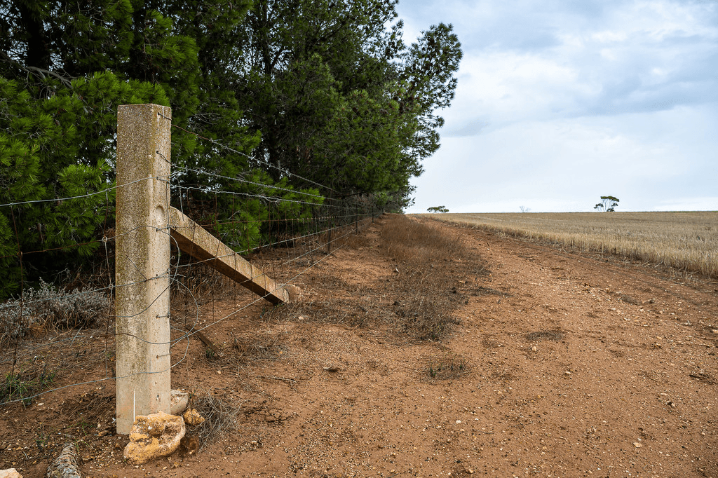 13 KELLYS HILL Road, KAINTON, SA 5552