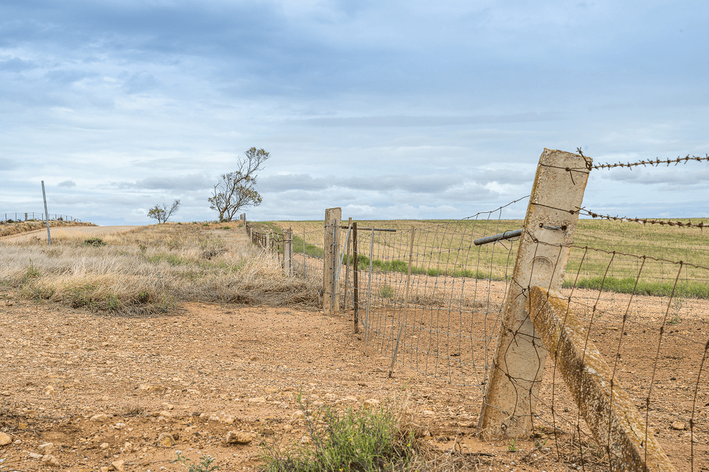 13 KELLYS HILL Road, KAINTON, SA 5552