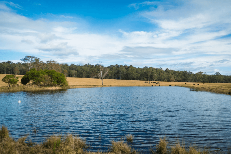 5371 Princes Highway, Bodalla, NSW 2545