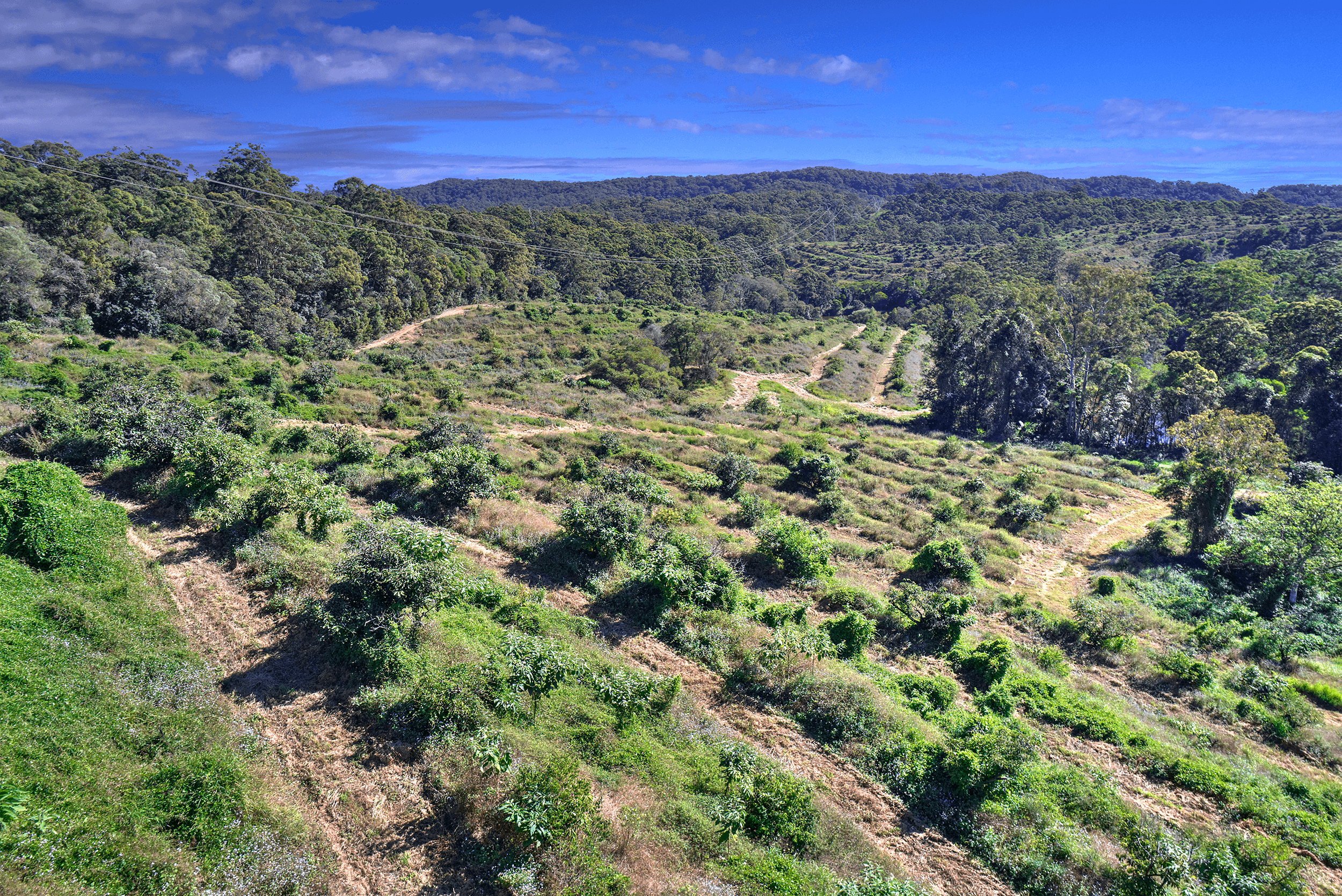 224 Top Forestry Road, RIDGEWOOD, QLD 4563