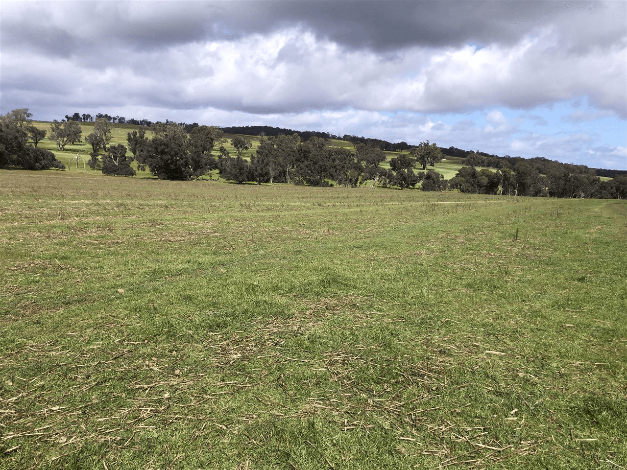 . " Snowdon" Pretty Gully Road, CHOWERUP, WA 6244