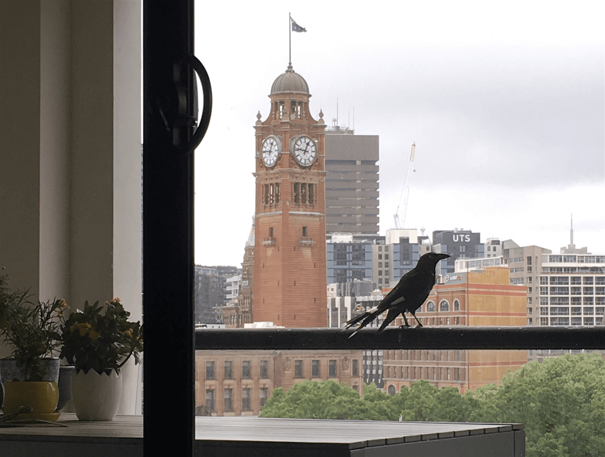 904/242 Elizabeth Street, SURRY HILLS, NSW 2010
