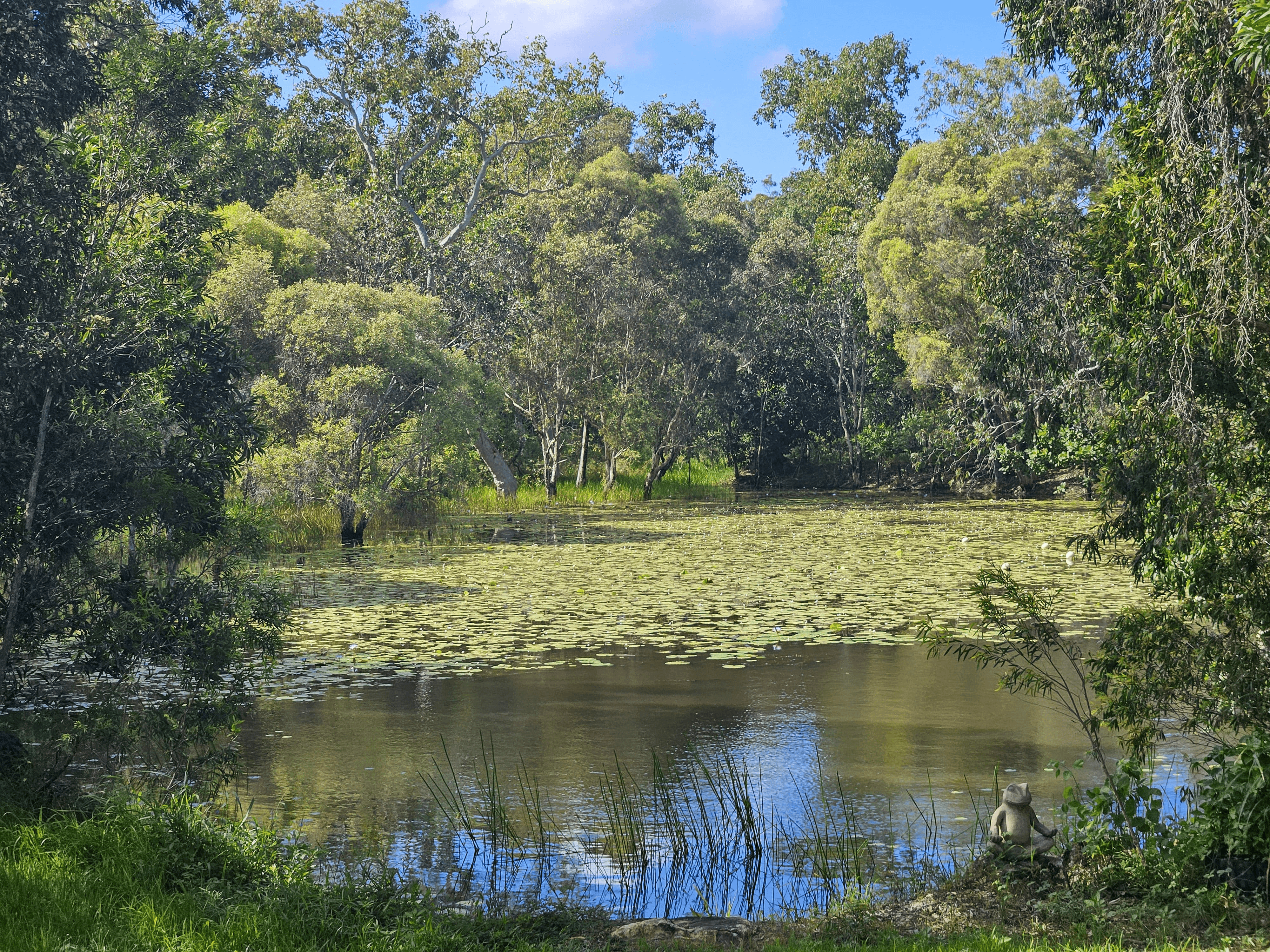 6 Ironwood Avenue, COOKTOWN, QLD 4895
