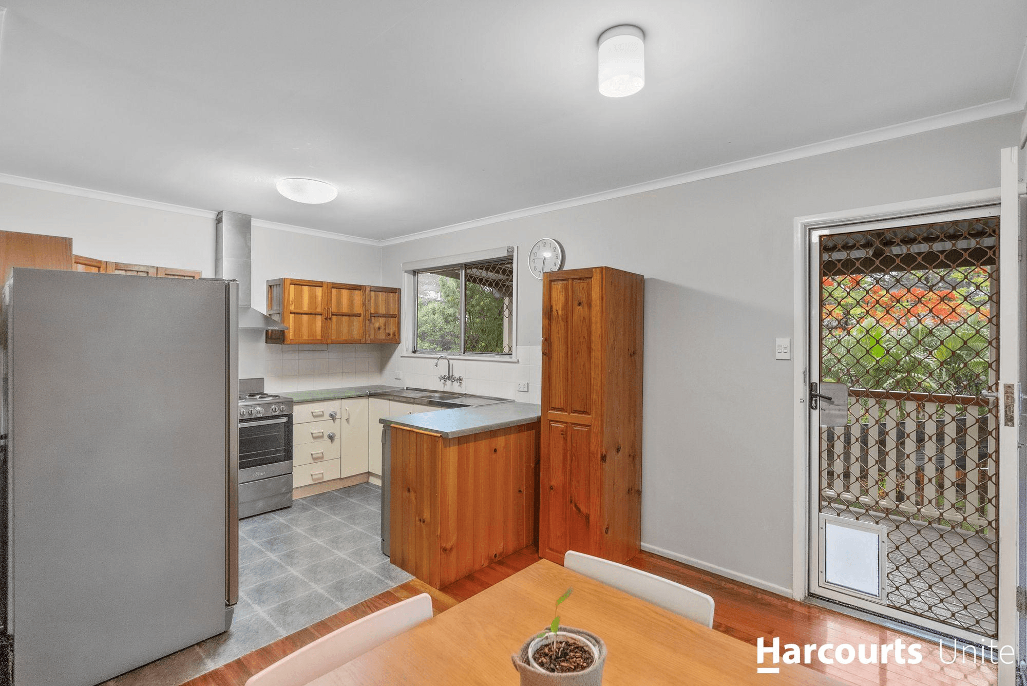 19 Pinnata Court, EVERTON HILLS, QLD 4053