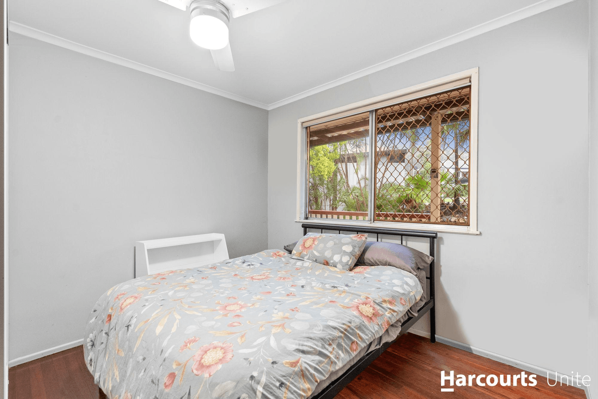 19 Pinnata Court, EVERTON HILLS, QLD 4053