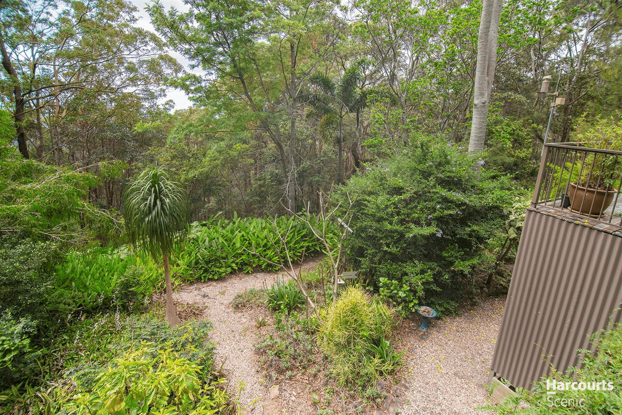 15 Salvia Drive, Tamborine Mountain, QLD 4272