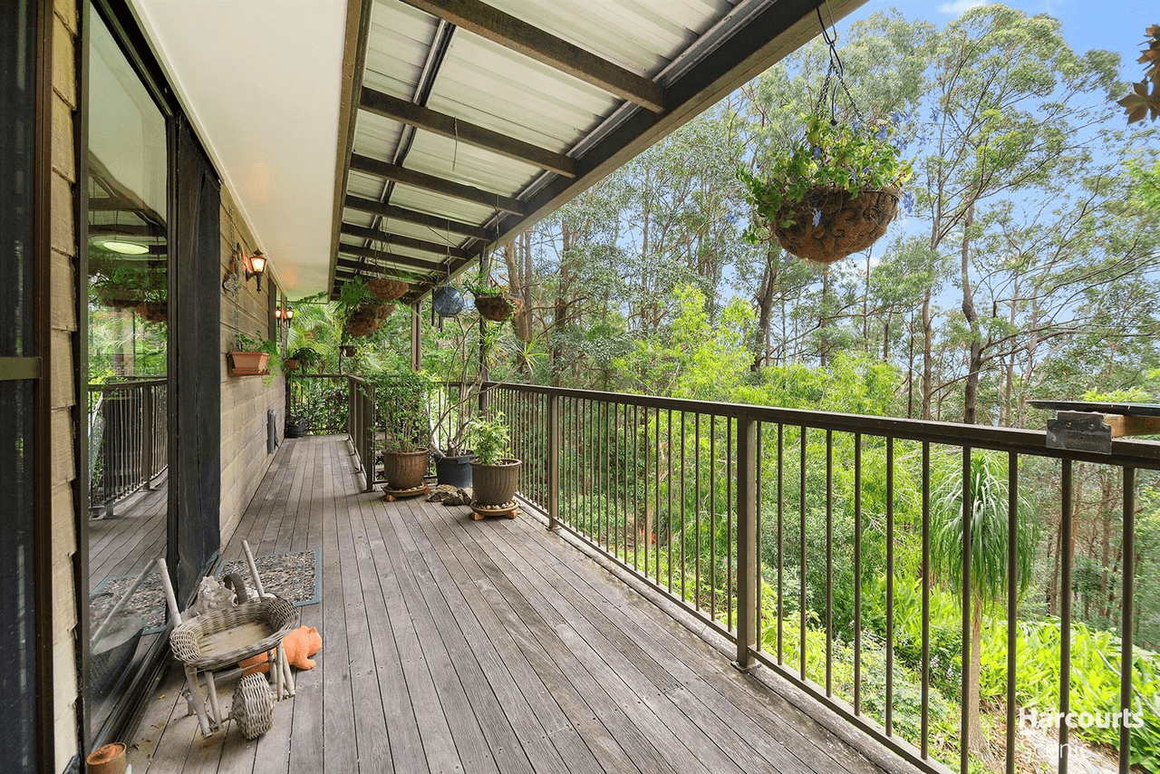 15 Salvia Drive, Tamborine Mountain, QLD 4272