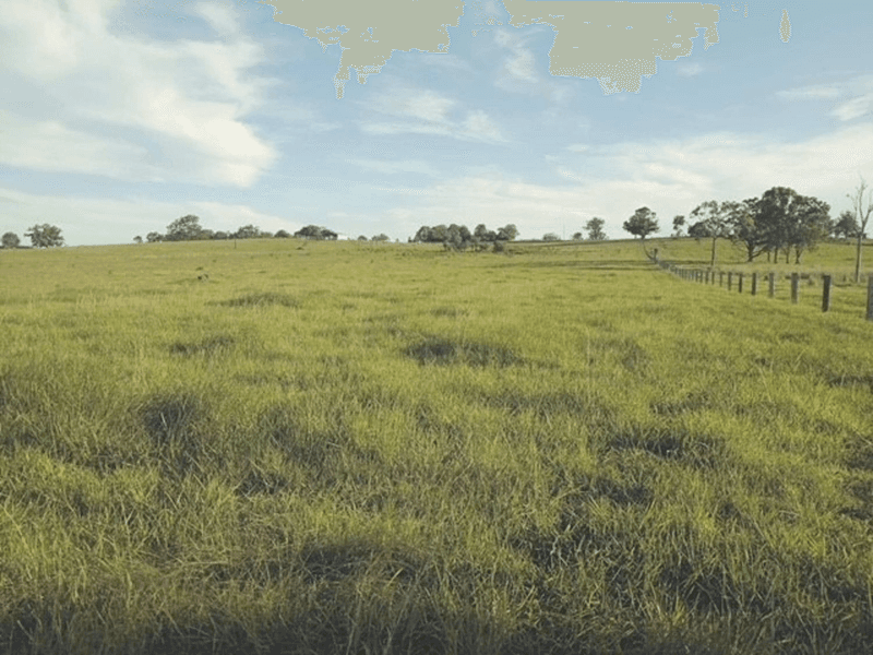 Lot 1 56 Aldavilla road, ALDAVILLA, NSW 2440