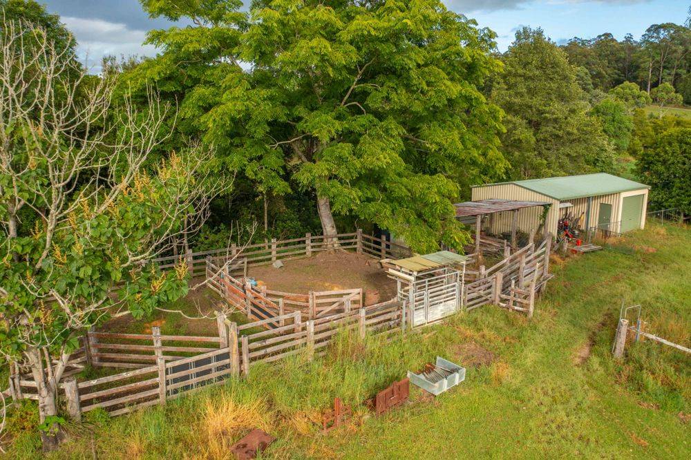 102 Fishers Ridge Rd, MORTONS CREEK, NSW 2446