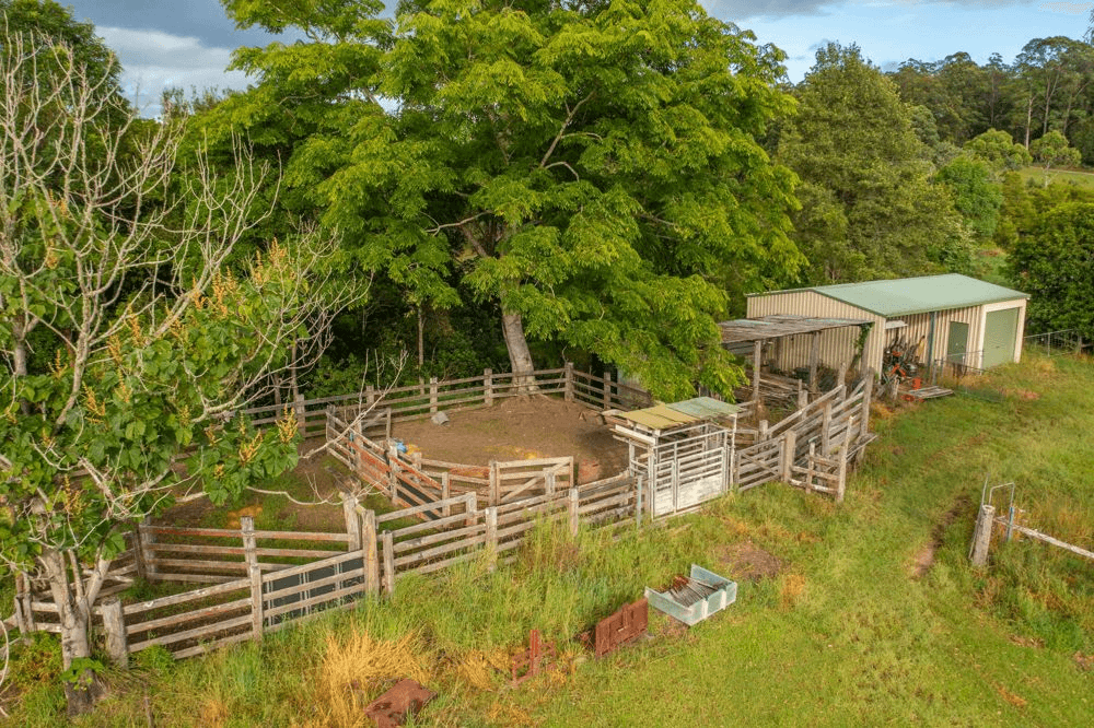 102 Fishers Ridge Rd, MORTONS CREEK, NSW 2446