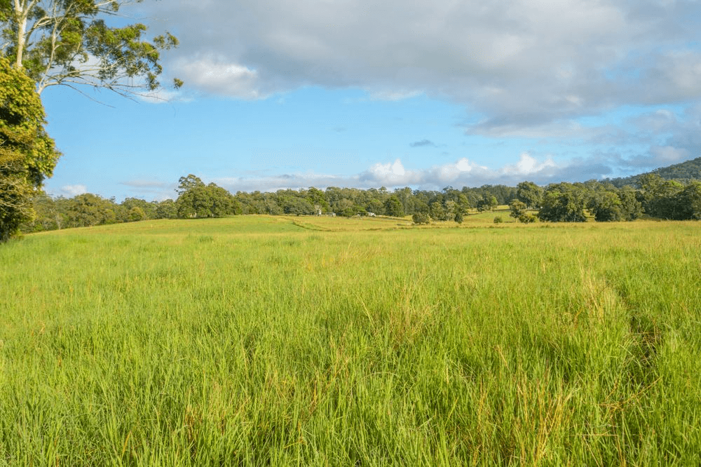 102 Fishers Ridge Rd, MORTONS CREEK, NSW 2446