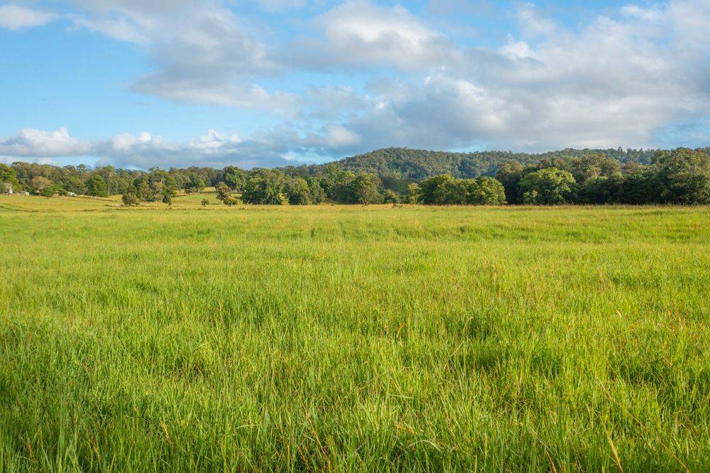 102 Fishers Ridge Rd, MORTONS CREEK, NSW 2446