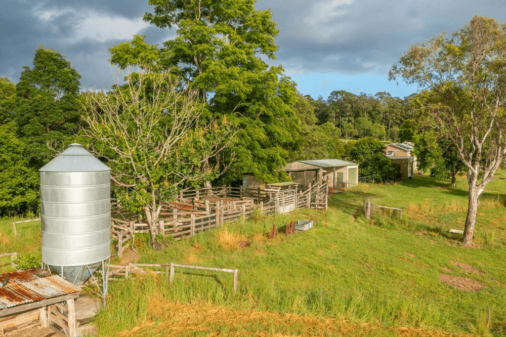 102 Fishers Ridge Rd, MORTONS CREEK, NSW 2446