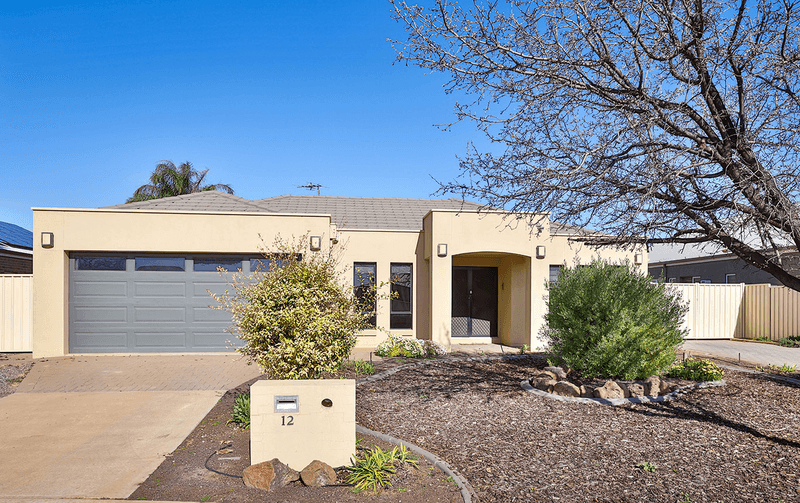 12 Marziano Drive, MILDURA, VIC 3500