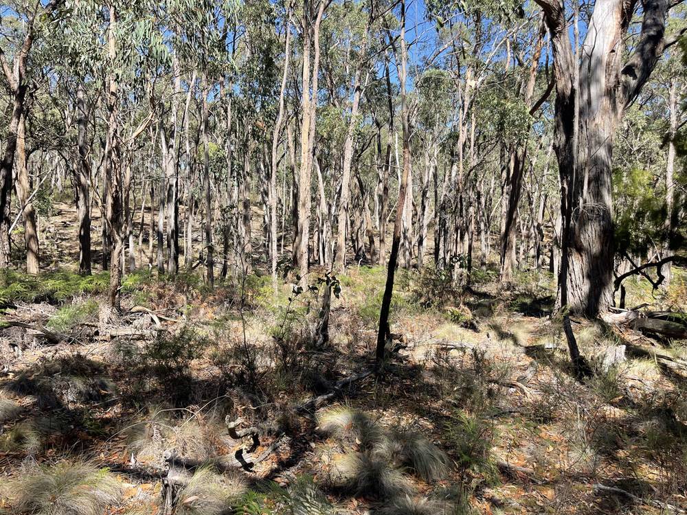 Pittong-Snake Valley Road, Snake Valley, VIC 3351